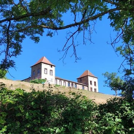 Chateau De Gorze Germolles-sur-Grosne Zewnętrze zdjęcie