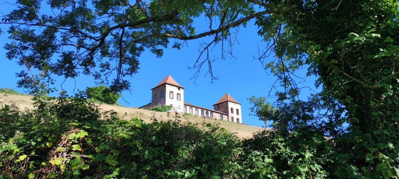 Chateau De Gorze Germolles-sur-Grosne Zewnętrze zdjęcie