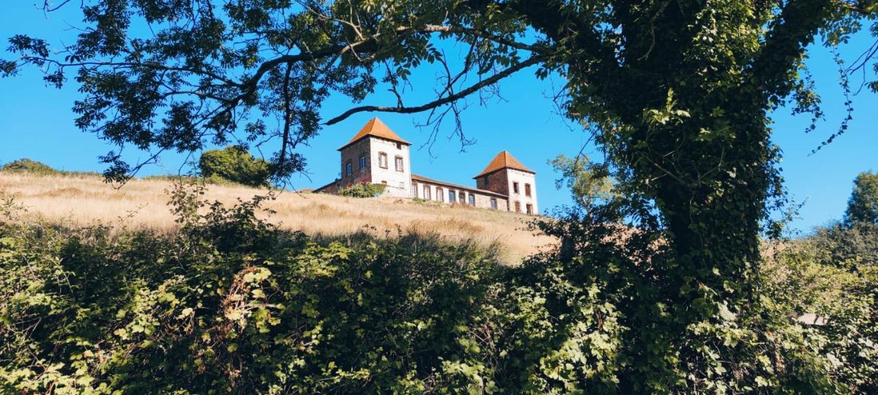 Chateau De Gorze Germolles-sur-Grosne Zewnętrze zdjęcie